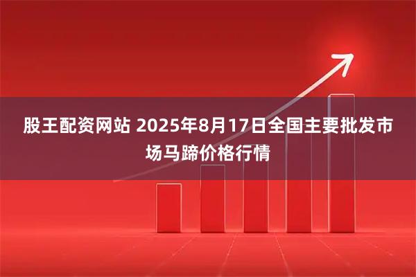 股王配资网站 2025年8月17日全国主要批发市场马蹄价格行情