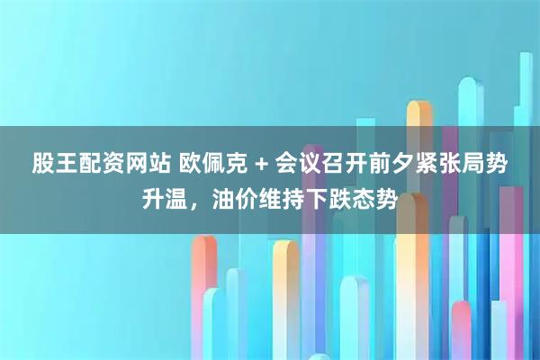 股王配资网站 欧佩克 + 会议召开前夕紧张局势升温，油价维持下跌态势
