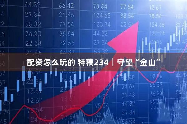 配资怎么玩的 特稿234｜守望“金山”
